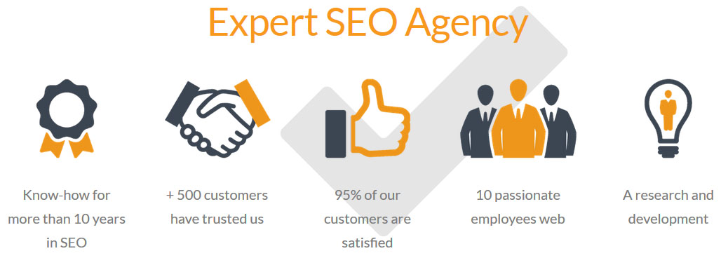 expert-seo